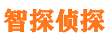 长洲市侦探